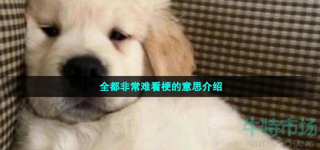 全都非常難看梗的意思介紹