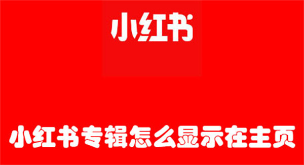 小紅書專輯怎么顯示在主頁