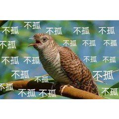 游俠網(wǎng)5