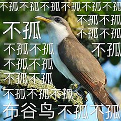 游俠網(wǎng)4