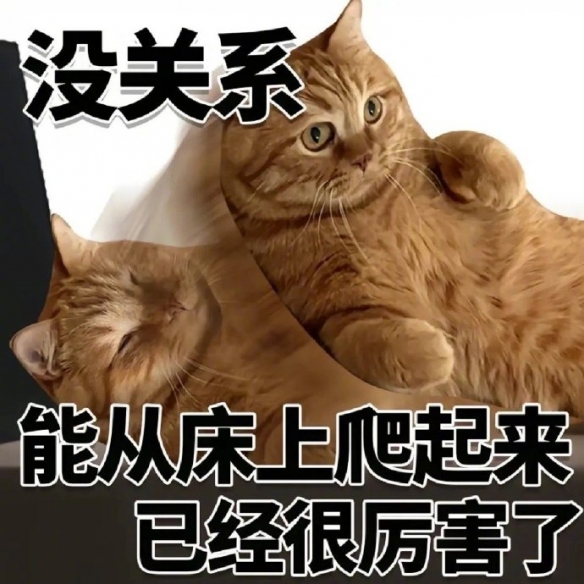 游俠網(wǎng)5