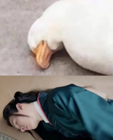 1678241330279277.png