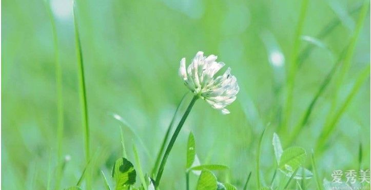 財(cái)氣暴發(fā)的三大星座,好運(yùn)財(cái)氣一起來,正財(cái)偏財(cái)一起到