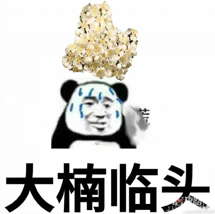 石楠花惡搞表情包圖片分享 石楠花惡搞表情包圖片分享