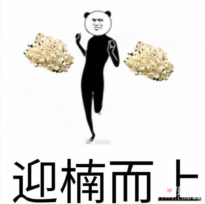 石楠花惡搞表情包圖片分享 石楠花惡搞表情包圖片分享