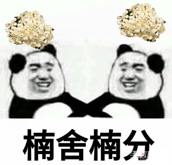 石楠花惡搞表情包圖片分享 石楠花惡搞表情包圖片分享