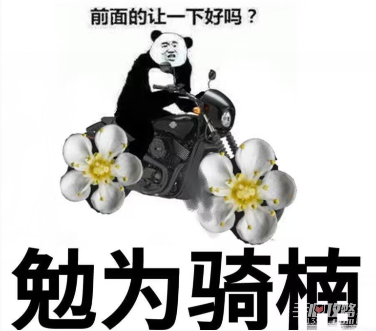 石楠花惡搞表情包圖片分享 石楠花惡搞表情包圖片分享