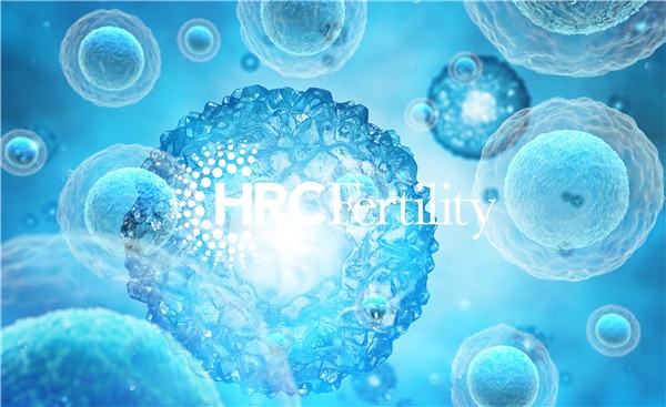 1685349883111882.jpg 凍卵-HRC.jpg