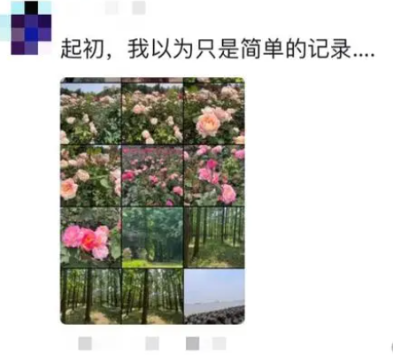 1684975151935636.png