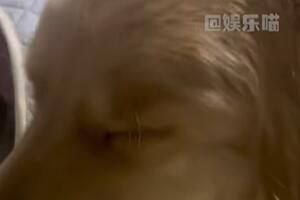 鬼迷日眼梗意思介紹 鬼迷日眼梗意思介紹