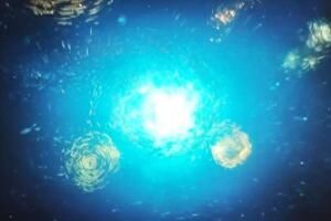 帶你去看海底星空意思介紹 帶你去看海底星空意思介紹