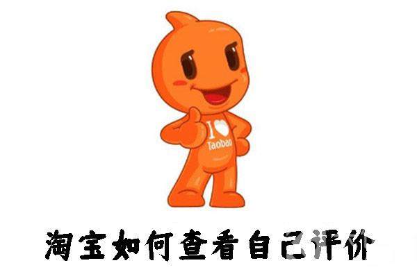 淘寶如何查看自己評(píng)價(jià)