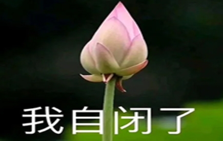 網(wǎng)絡(luò)用語我自閉了是什么梗