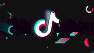 《抖音》樹新蜜蜂是什么梗