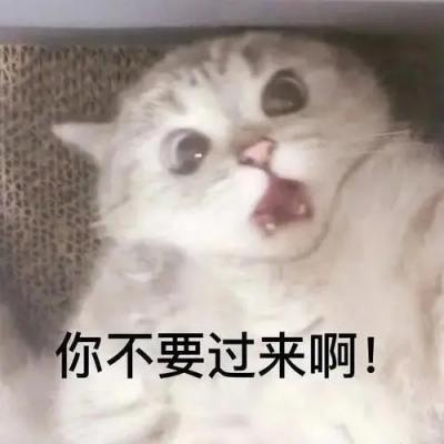 網(wǎng)絡(luò)用語別進(jìn)直播間是什么梗