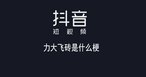 網(wǎng)絡用語力大磚飛是什么梗