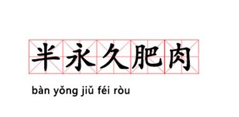 網(wǎng)絡(luò)用語半永久肥肉是什么梗