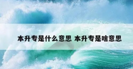 網(wǎng)絡(luò)用語本升專是什么梗