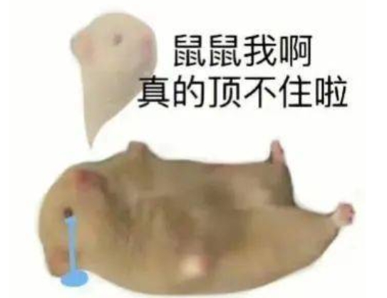 網(wǎng)絡(luò)用語(yǔ)鼠鼠我啊是什么梗