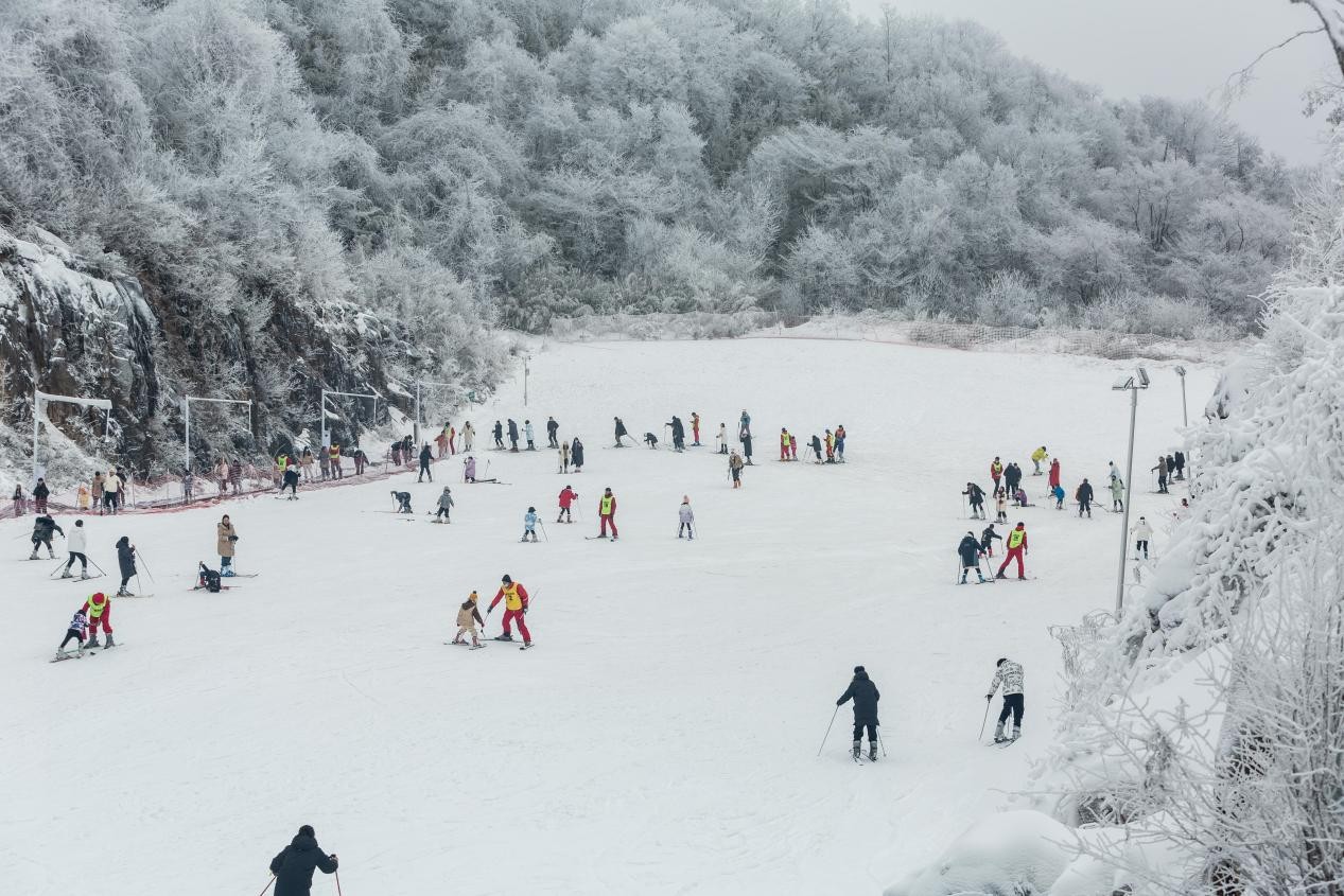 開板!又到一年冰雪季,元旦小長假去綿陽九皇山感受冰雪魅力