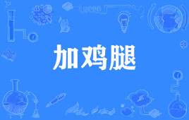 網(wǎng)絡(luò)用語(yǔ)攝影師晚餐加根雞腿是什么梗