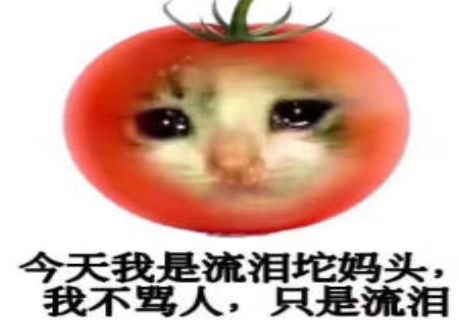 網(wǎng)絡(luò)用語(yǔ)坨媽頭是什么梗