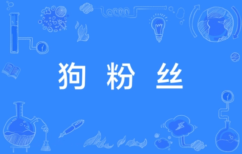 網絡用語狗粉絲是什么梗