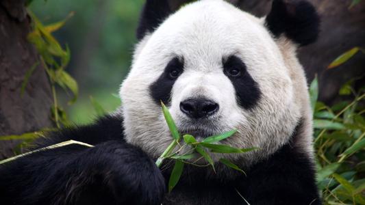 網(wǎng)絡(luò)用語把筍都奪完了是什么梗