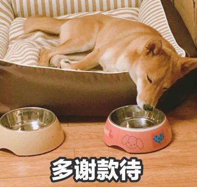網(wǎng)絡(luò)用語多謝款待是什么梗