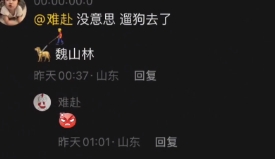 網(wǎng)絡(luò)用語評論區(qū)遛狗是什么梗