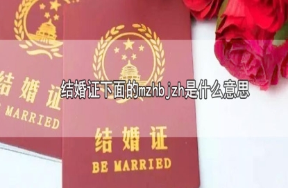 網(wǎng)絡(luò)用語妹子何必嫁這貨是什么梗