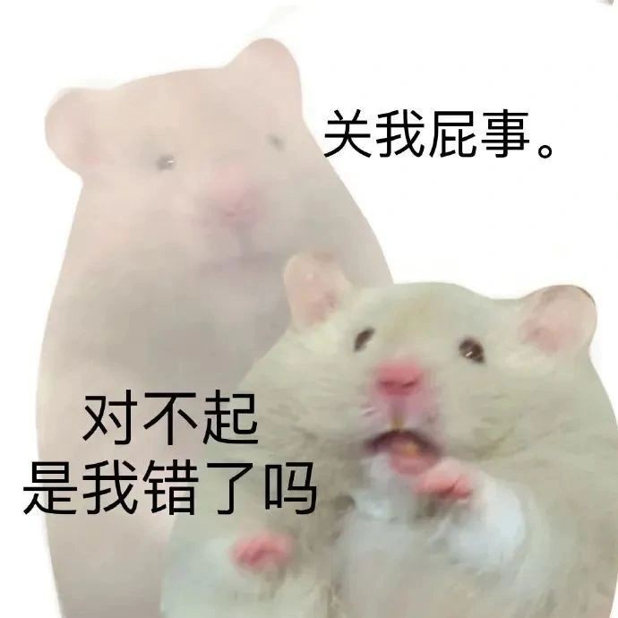 網(wǎng)絡(luò)用語家鼠是什么梗