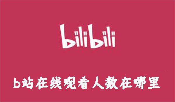 b站在線觀看人數(shù)在哪里