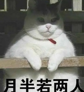 網(wǎng)絡(luò)用語(yǔ)不胖警告是什么梗