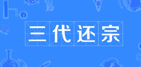網(wǎng)絡(luò)用語三代還宗是什么梗