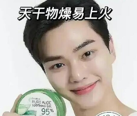 網(wǎng)絡用語宋江蘆薈膠是什么梗