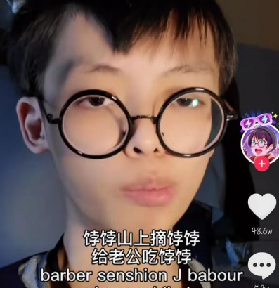 抖音嵐語是什么梗