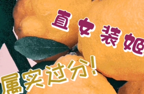 網(wǎng)絡(luò)用語(yǔ)直女裝姬是什么梗