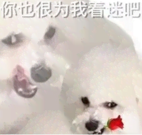 網(wǎng)絡(luò)用語恁應(yīng)該也很為俺啄米吧是什么梗