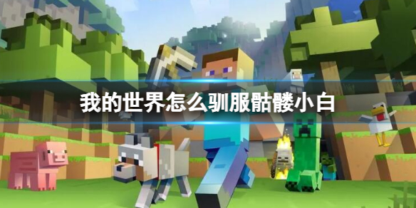 游俠網(wǎng)1