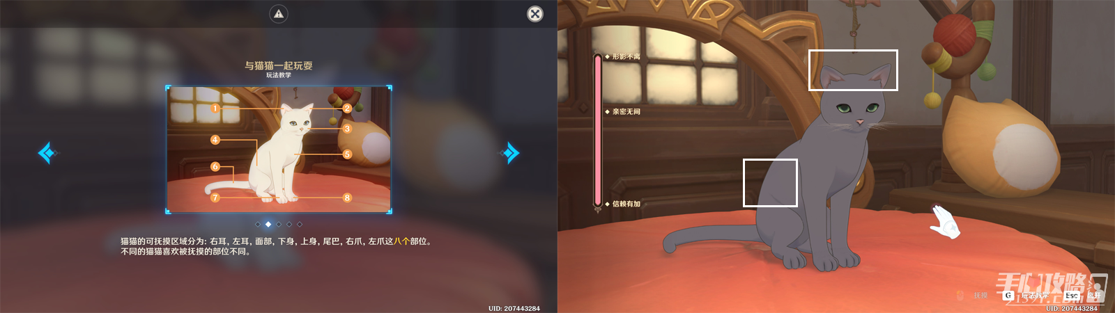 《原神》茸茸城堡大喵險第三天通關攻略 《原神》茸茸城堡大喵險第三天通關攻略