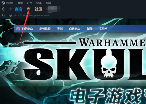 steam游戲怎么標(biāo)記為私密