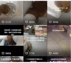 抖音歡歡鹵味店是什么意思