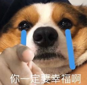 網(wǎng)絡(luò)用語又幸福了是什么梗