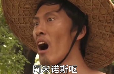 阿米諾斯是什么梗網(wǎng)絡(luò)用語