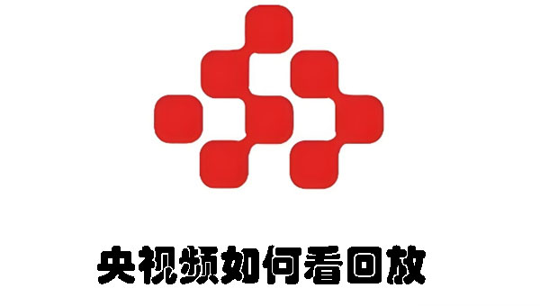 央視頻如何看回放