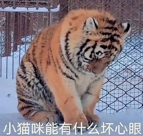 網(wǎng)絡(luò)用語(yǔ)能有什么壞心眼呢是什么梗