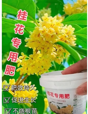 養(yǎng)花緩釋肥和復(fù)合肥哪個(gè)好用一點(diǎn)
