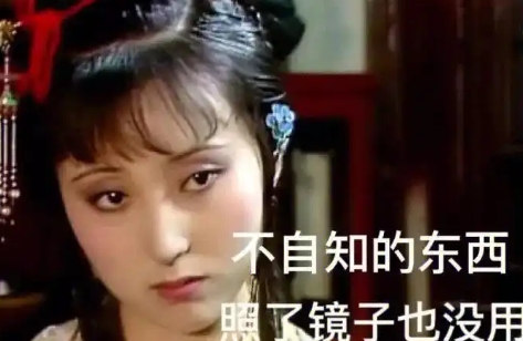 網(wǎng)絡(luò)用語黛玉文學(xué)是什么梗