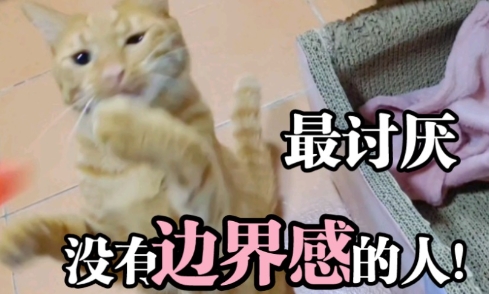 網(wǎng)絡用語討厭沒有邊界感的人是什么梗